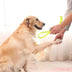 Dog Chewing Pet Toy Resistant To Bite Molar Teeth Cleaning Pets Supplies - Minihomy