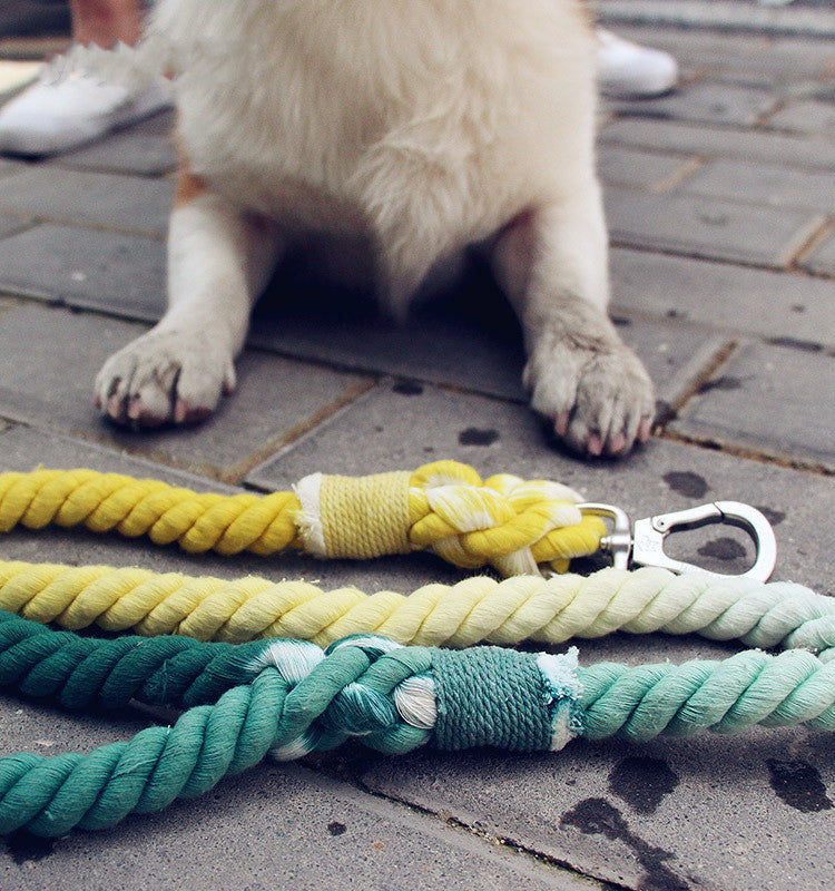 Pet dog traction rope cotton hand-woven rope dog walking rope - Minihomy