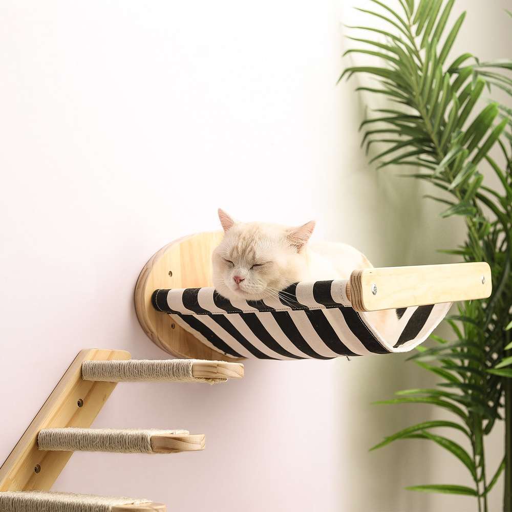 Pine Wood Cat Climbing Frame Cat Wall Hammock Staircase Room Space Capsule Cat Toy - Minihomy