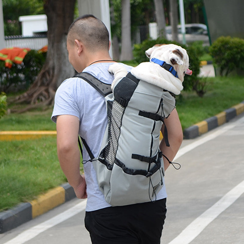 Adjustable Pet Dog Outdoor Travel Backpack For Hiking Cycling Reflective Carrier Bag For Dogs French Bulldog Pug Carrying Bags - Minihomy