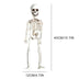 Halloween Decoration Skull Skeleton Horror Tombstone  Party Decor - Minihomy