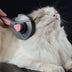 Remover Brush Deshedding Tool For Dogs Cats Rabbits Pet Cleaning Supplies