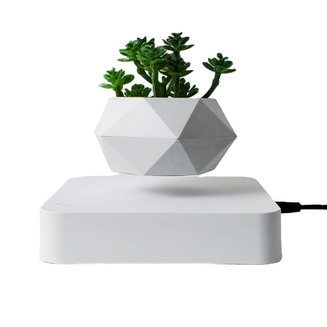 Magnetic Suspension Floating Pot Potted Plant Home Desk Decor - Minihomy