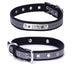 Personalized Dog Leather Collar - Minihomy